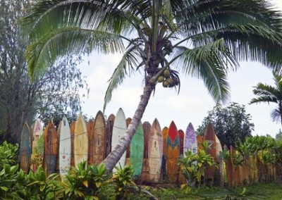 surfboard fence hana