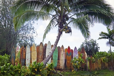 surfboard fence hana